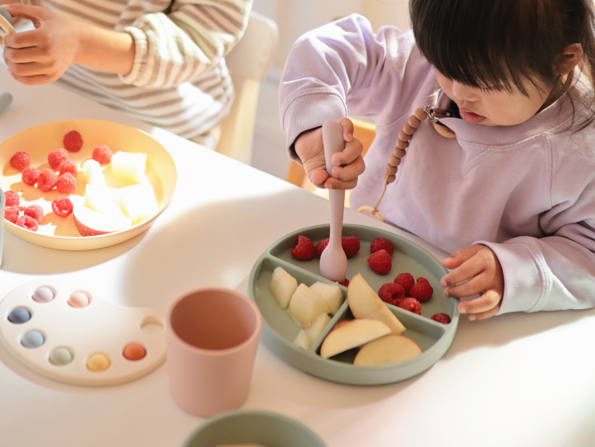 bölcsibe szoktatás