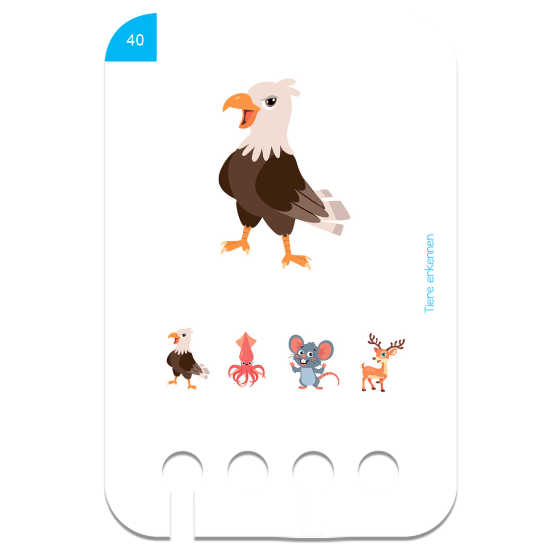 Fejlesztő kártyacsomag fa tanulódobozhoz: Állatok - 2 éves kortól