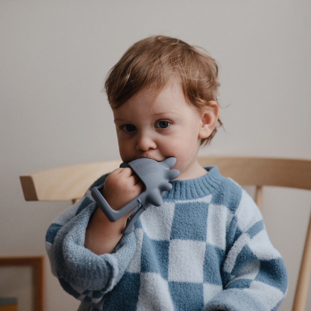 Kézre húzható rágóka - dinó