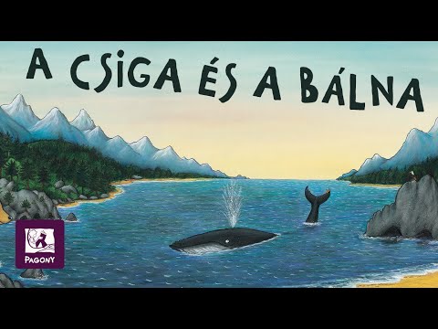 Videó betöltése: