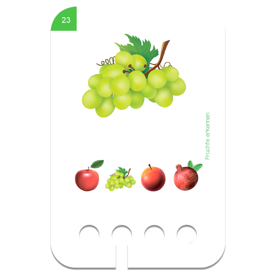 Puncho fejlesztő játék gyerekeknek fa tartóval - gyümölcs téma