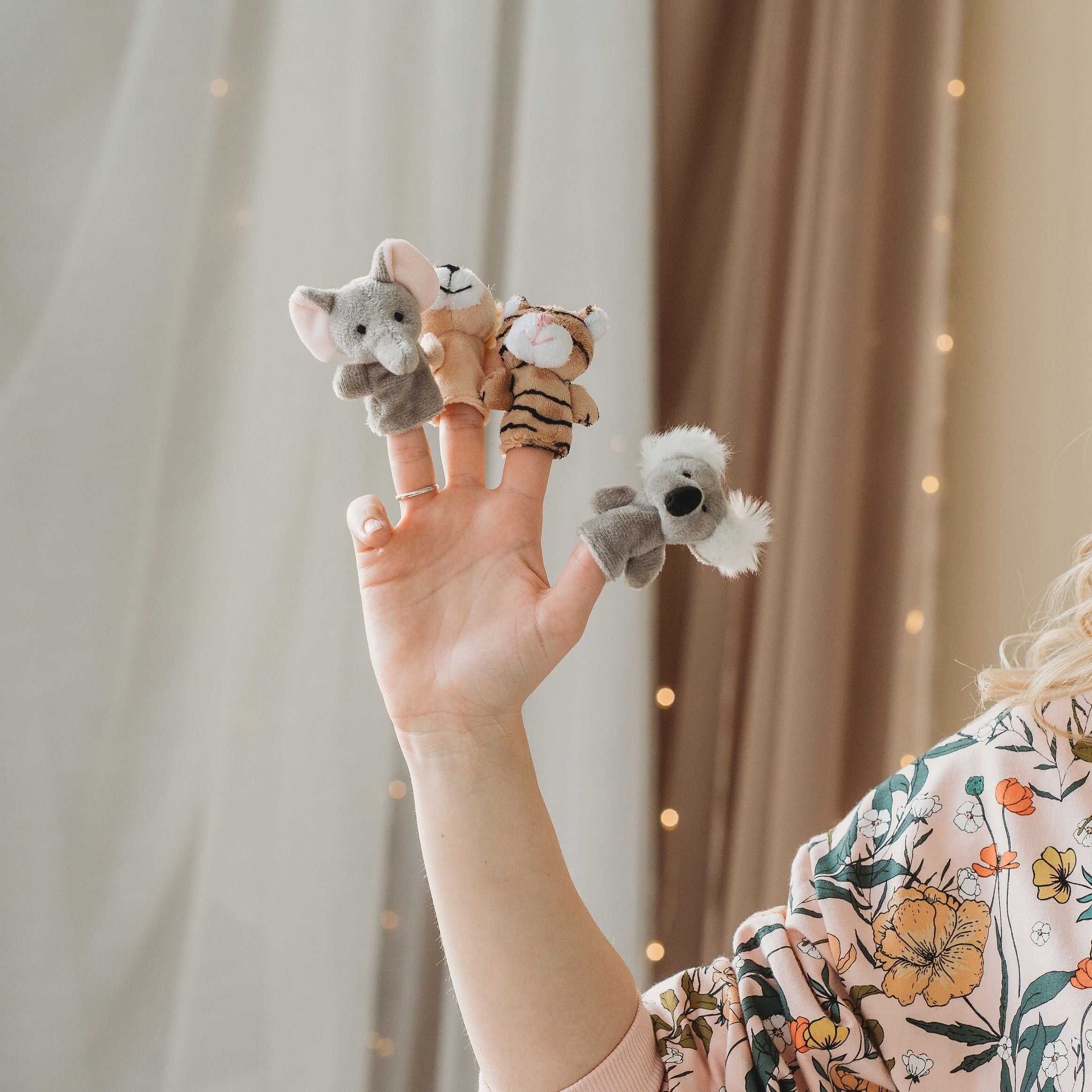 Ujjbáb koala, tigris, oroszlán, elefánt