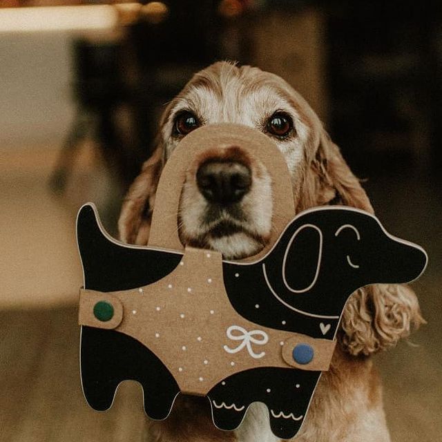 Gyerekjáték rajztábla kutya formával - krétatábla - www.pippadu.hu