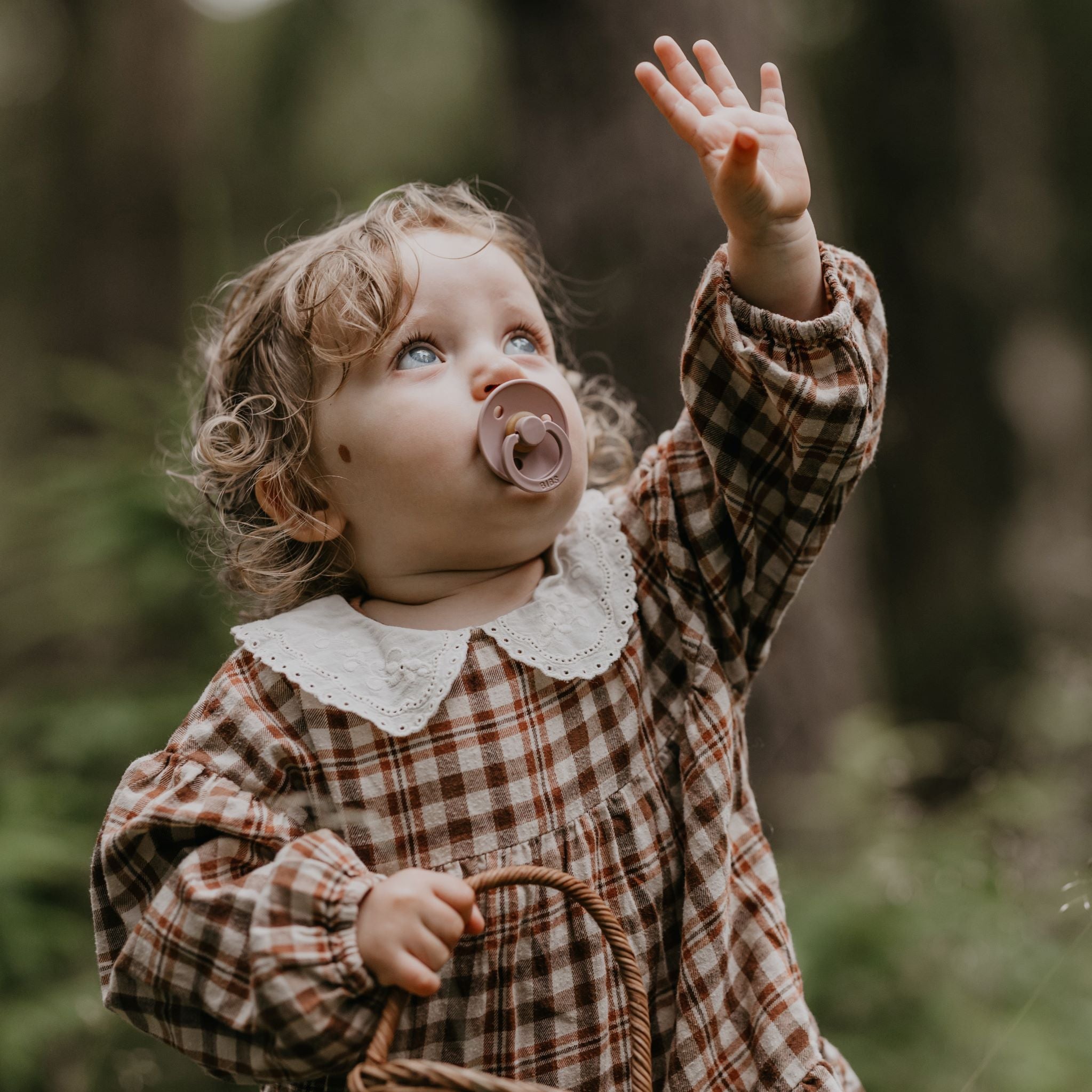 BIBS Colour Szilvarózsa színben - új kollekció - pippadu