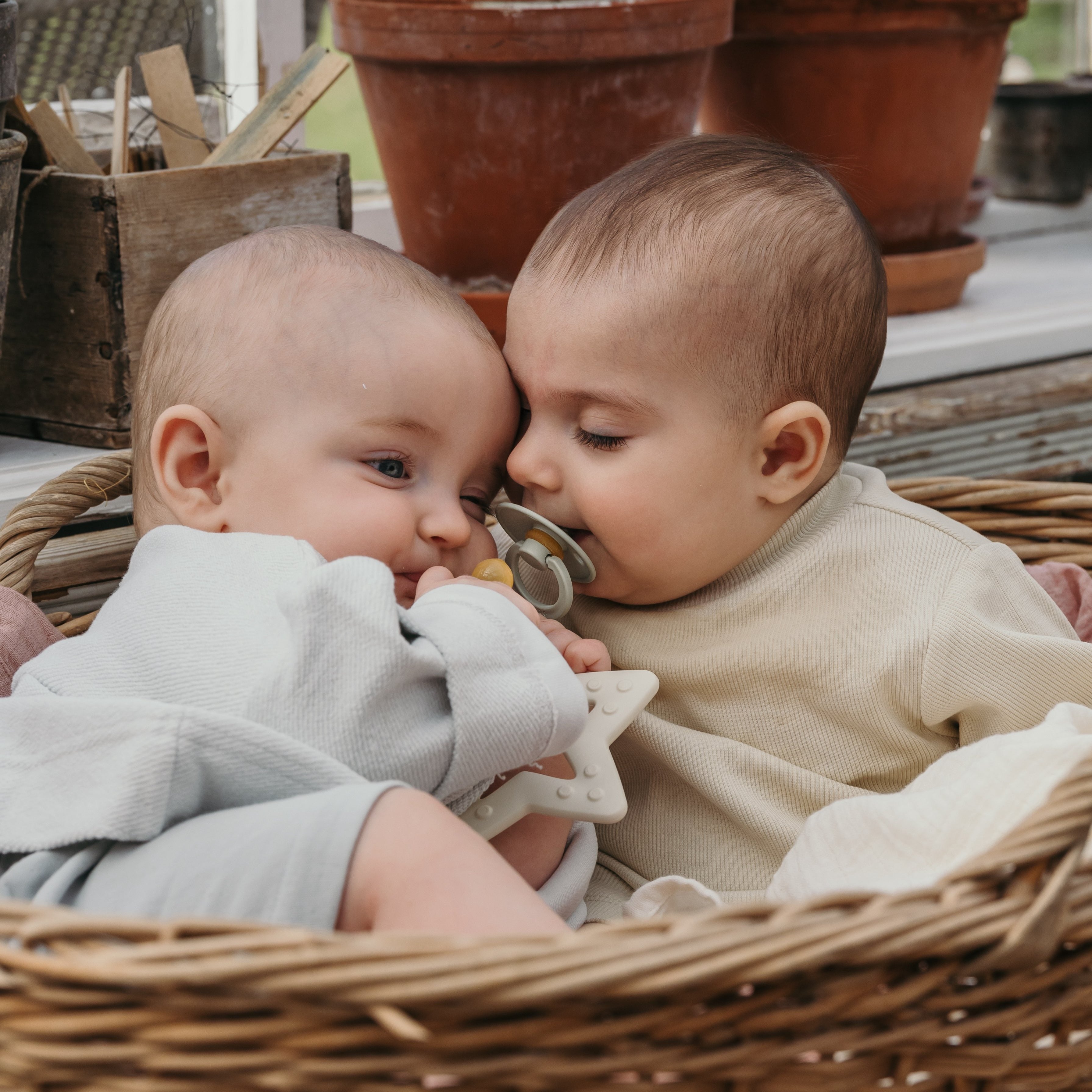 BIBS csillag rágóka szilvarózsa színben a pippadunál!