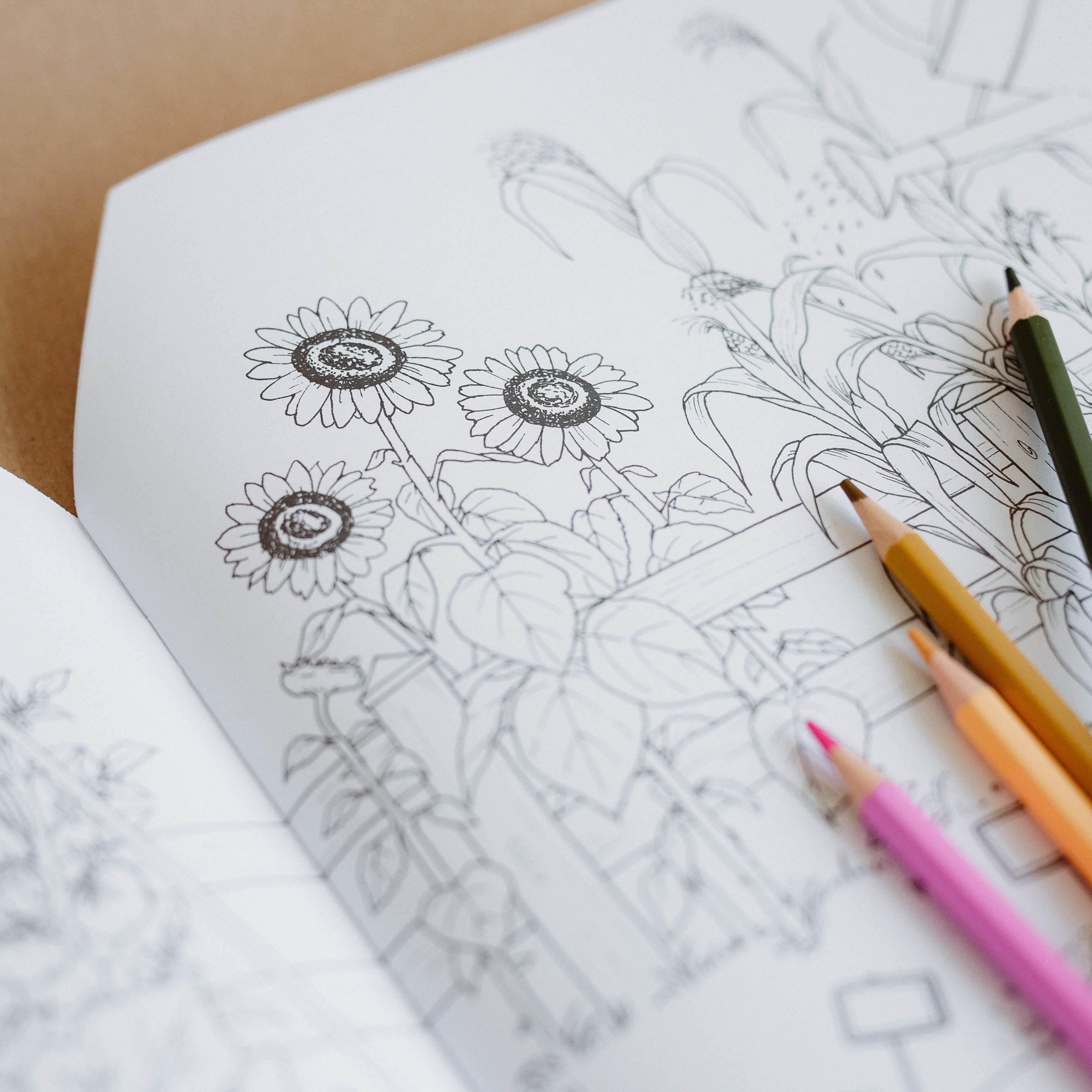 Moulin Roty Matricázó és színező album gyerekeknek a pippadutól