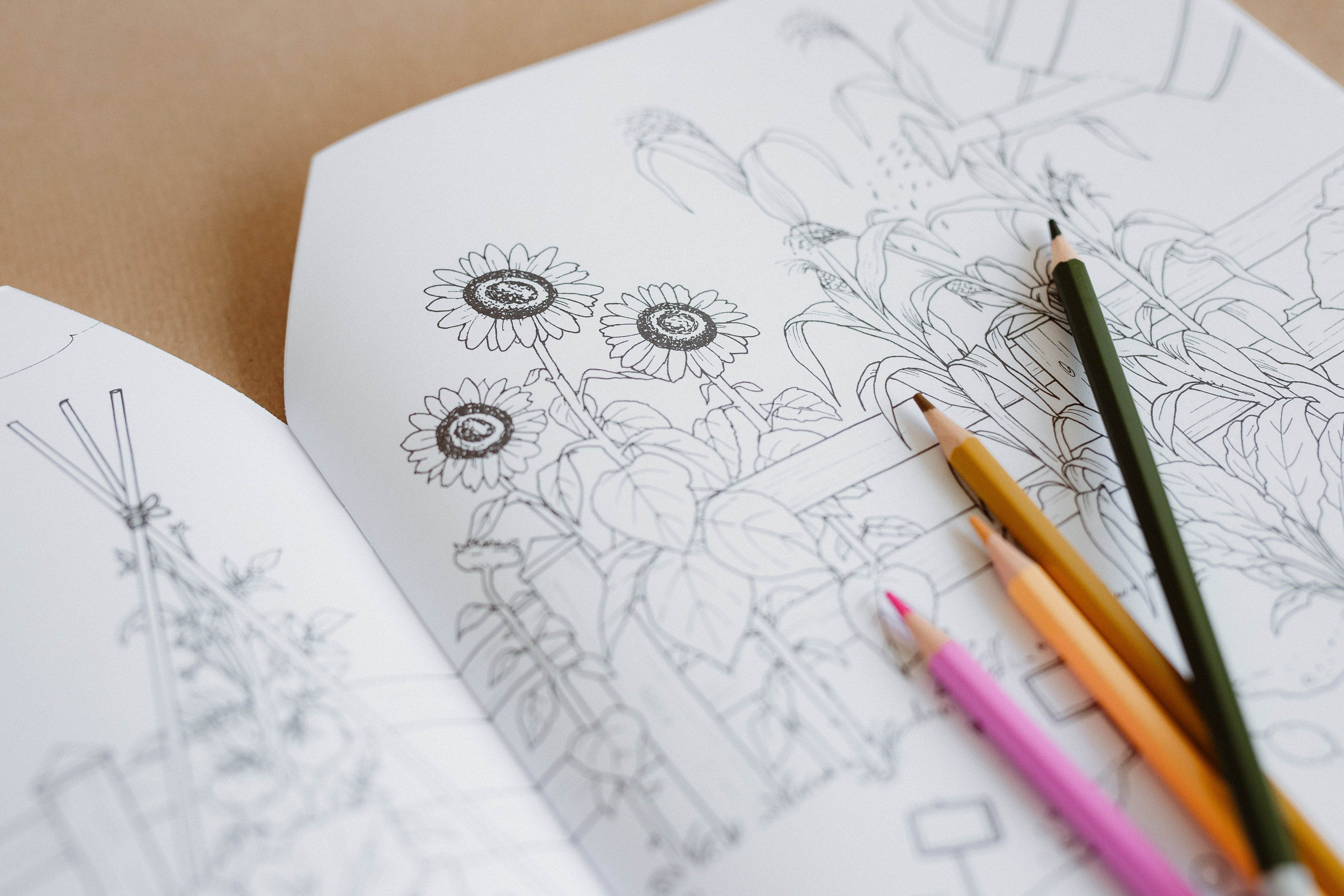 Moulin Roty Matricázó és színező album gyerekeknek a pippadutól