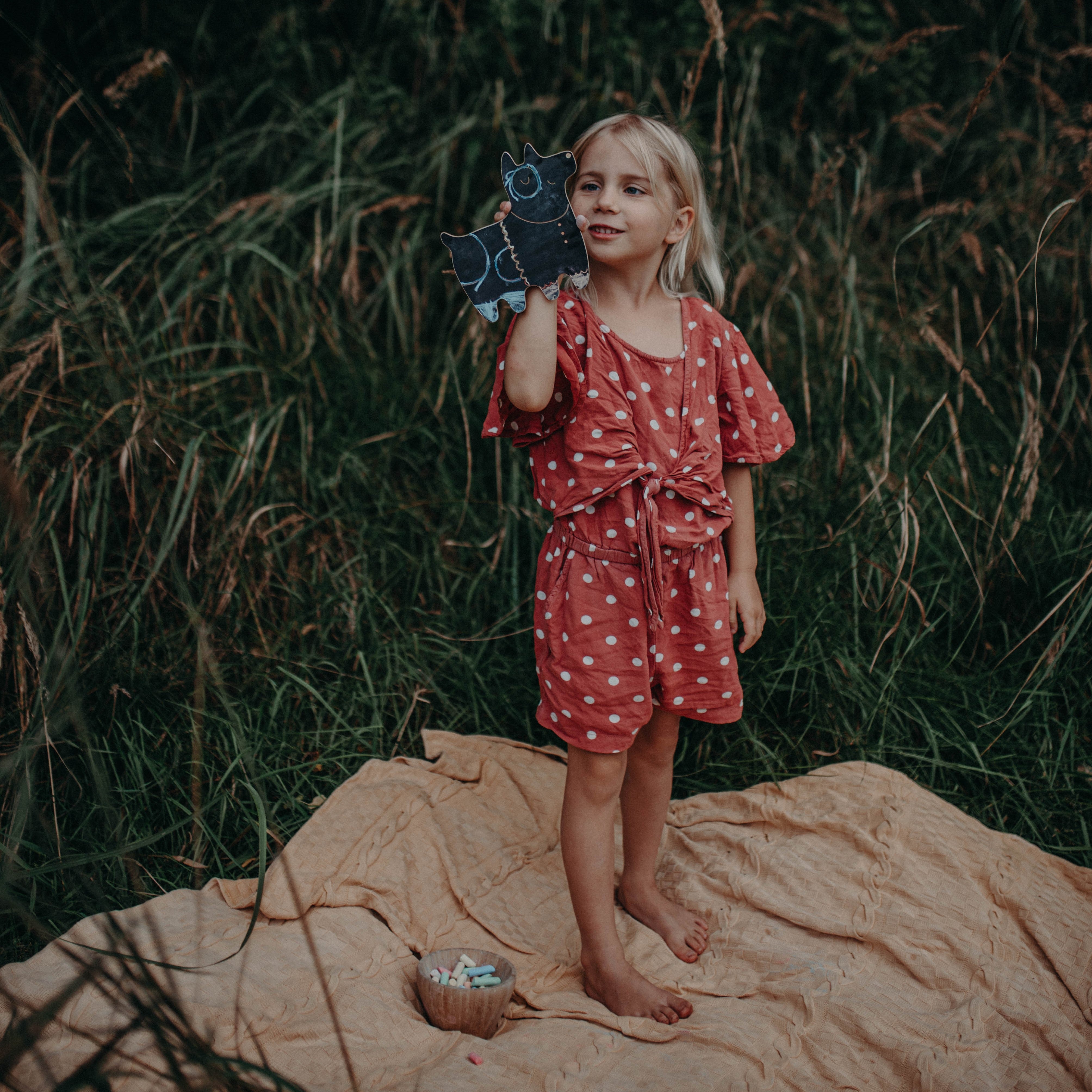 Hektor a kutya krétatábla - gyerekjáték - milin - pippadu