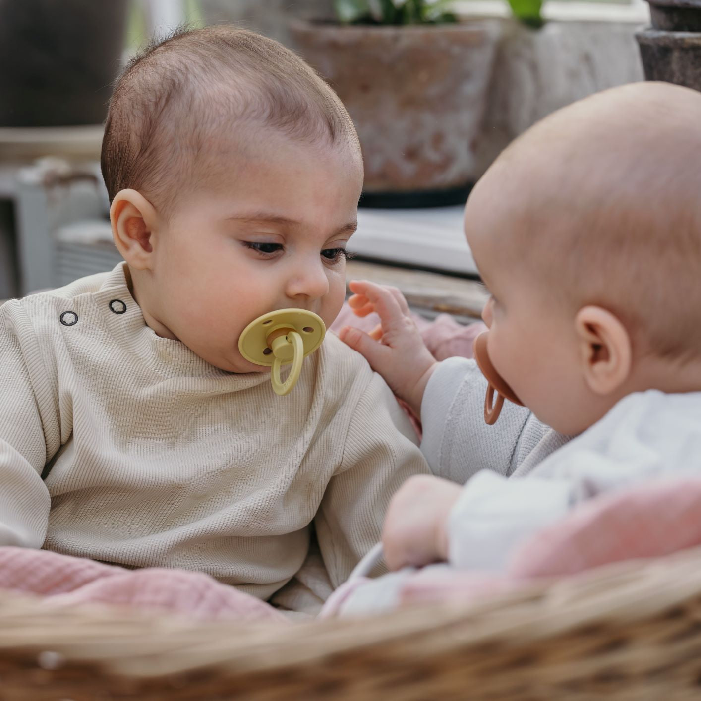 BIBS Colour cumi szénazöld színben már a pippadu honlapján! BIBS cumi - babáknak, stílusos, dán dizájn