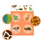 Djeco társasjáték - Tollas és szőrös - gyerekeknek