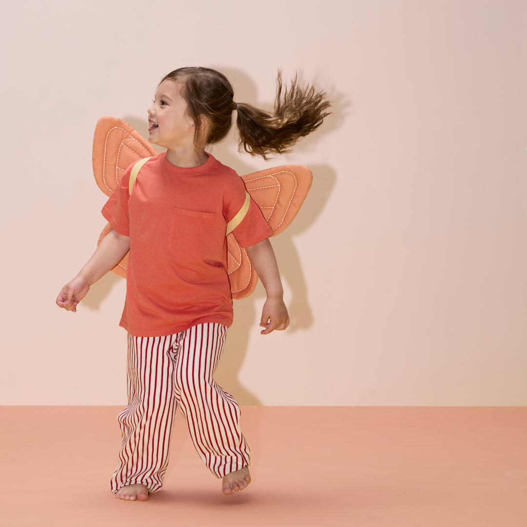 Pillangó jelmez gyerekeknek