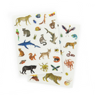 Moulin Roty tetováló matrica - A világ körül