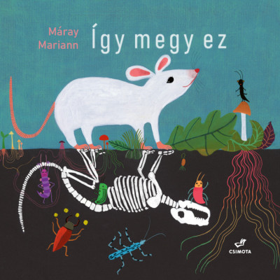Máray Mariann: Így megy ez