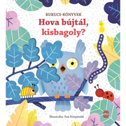 Sam Taplin: Hova bújtál, kisbagoly?