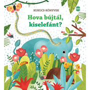 Sam Taplin: Hova bújtál, kiselefánt? (Kukucs-könyvek)